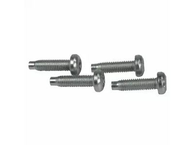 Ford -W505574-S309 Screw -W505574-S309 Ford Screw Product Photo 1 of 1