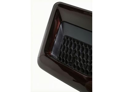 JL3Z-8200-SC Ford Grille Assembly - Radiator Product Photo 3 of 4
