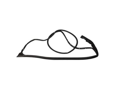 FL3Z-1520530-A Ford Door Weatherstrip, Front Outer Passenger Side Product Photo 3 of 3