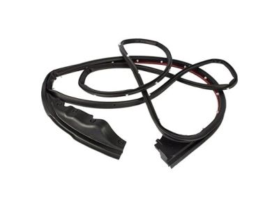 FL3Z-1520530-A Ford Door Weatherstrip, Front Outer Passenger Side Product Photo 2 of 3