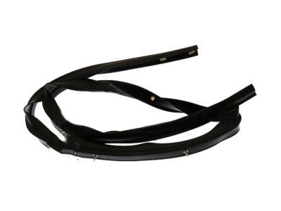 Mercury 8L2Z-78253A45-A Weatherstrip - Door Lower