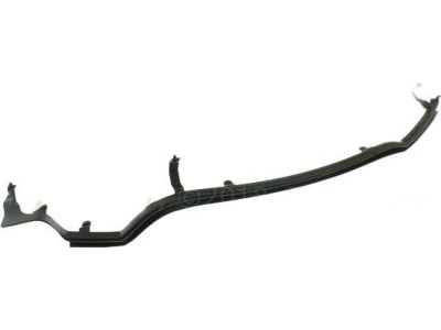 FT4Z-5825325-A Ford Weatherstrip, Driver Side Product Photo 2 of 3