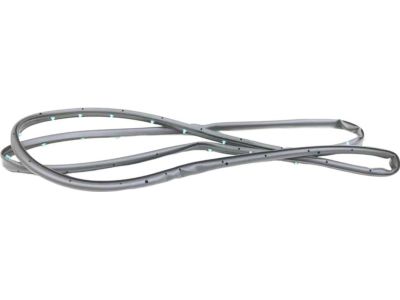 FT4Z-5825325-A Ford Weatherstrip, Driver Side Product Photo 3 of 3