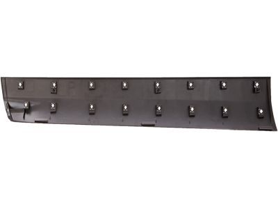 CJ5Z-7820878-AA Ford Side Molding, Front Passenger Side Product Photo 3 of 4