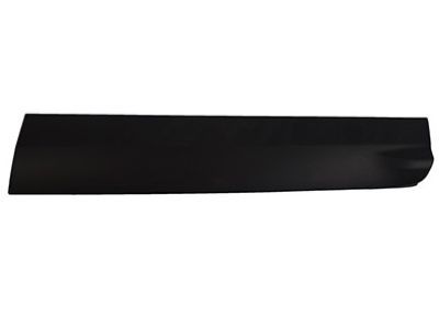 CJ5Z-7820878-AA Ford Side Molding, Front Passenger Side Product Photo 4 of 4