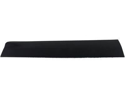 CJ5Z-7820878-AA Ford Side Molding, Front Passenger Side Product Photo 2 of 4