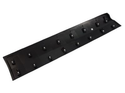Ford CJ5Z-7820878-AA Side Molding, Front Passenger Side CJ5Z-7820878-AA Ford Side Molding, Front Passenger Side Product Photo 1 of 4