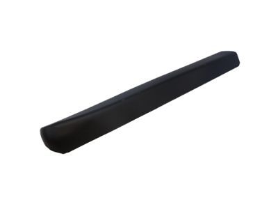 Ford AG1Z-5420879-AA Molding - Door Outside