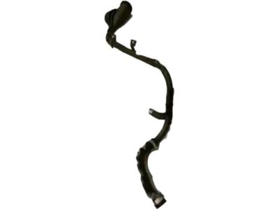 Ford FR3Z-9034-A Pipe - Fuel Filler FR3Z-9034-A Ford Pipe - Fuel Filler Product Photo 1 of 4