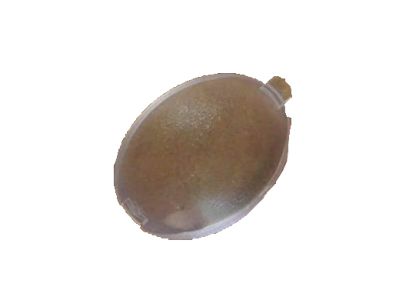 Lincoln Navigator Dome Light - F75Z-13761-BA