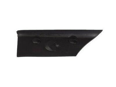 Ford 5C3Z-17A861-AB Deflector - Stone