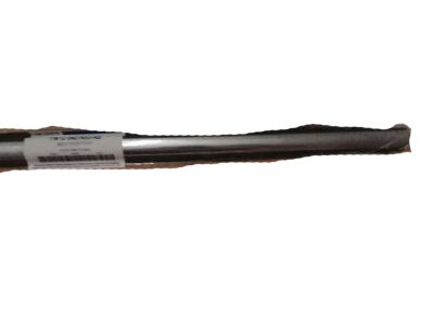 Lincoln YW1Z-5421453-AB Weatherstrip Assembly - Door Window