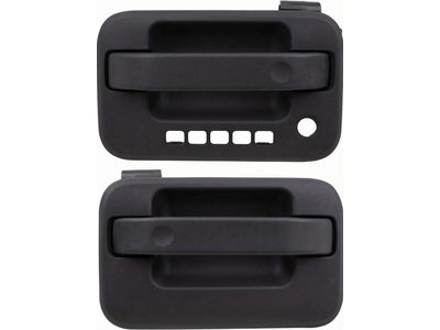 9L3Z-1522404-AB Ford Handle Assembly - Door - Outer, Passenger Side Product Photo 4 of 4
