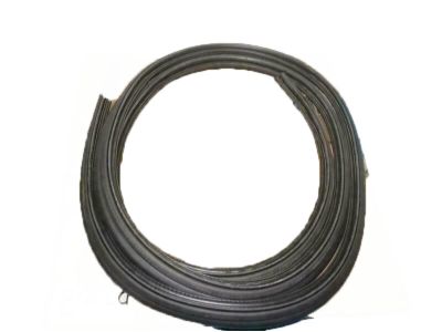 3L2Z-78404A06-AA Ford Weatherstrip Product Photo 3 of 3