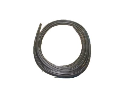 3L2Z-78404A06-AA Ford Weatherstrip Product Photo 2 of 3