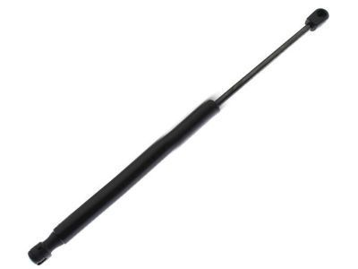 Ford FL3Z-16C826-A Lift Cylinder, Passenger Side FL3Z-16C826-A Ford Lift Cylinder, Passenger Side Product Photo 1 of 1