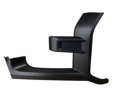 Ford HL3Z-17C754-BPTM Molding - Bumper Bar