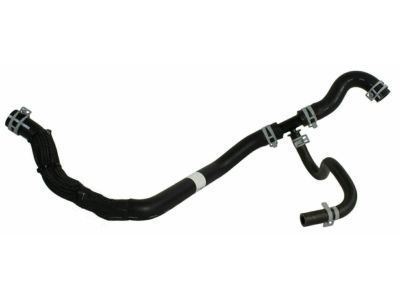 Ford BC2Z-3A713-D Reservoir Hose