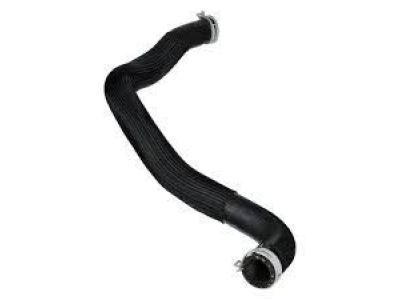 Lincoln Water Hose - AT4Z-8286-A