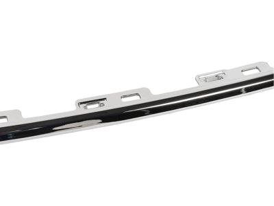 Ford JB5Z-17C830-AA Molding - Bumper Bar