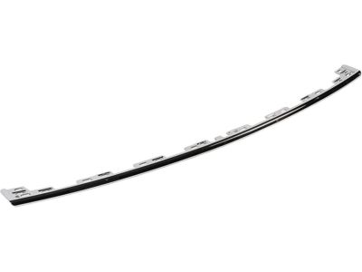 Ford JB5Z-17C830-AA Molding - Bumper Bar