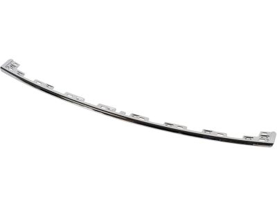 Ford JB5Z-17C830-AA Molding - Bumper Bar