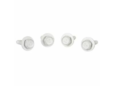 Ford -W301900-S300 Bolt -W301900-S300 Ford Bolt Product Photo 1 of 1