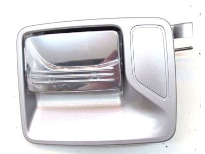 Ford DC3Z-3626605-BA Handle Assembly - Door Outer