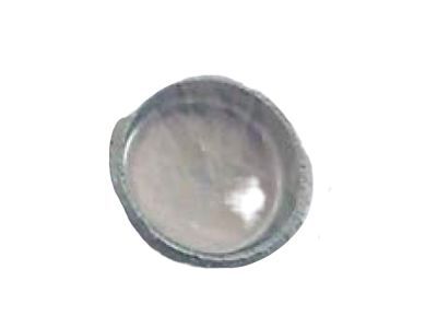 Lincoln -W528007-S900 Plug
