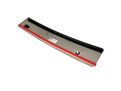 Ford F-150 Door Moldings - 5L3Z-1620554-AAA