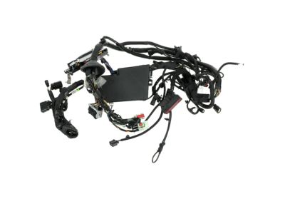 EV4Z-14290-BL Ford Wire Assembly Product Photo 2 of 2
