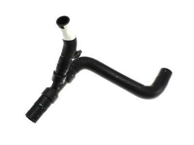 Lincoln DS7Z-8260-A Hose - Radiator