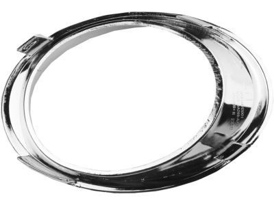 Ford DS7Z-17E811-AA Bracket - Fog Lamp