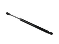 Ford 6W1Z-16C826-AB Lift Cylinder, Driver Side