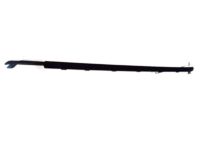 Ford FR3Z-6321452-E Belt Weatherstrip, Black, Passenger Side
