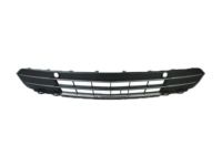 Ford DA5Z-17K945-BA Lower Grille