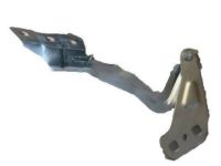 Ford DS7Z-16796-A Hinge, Front Passenger Side