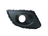 Ford BA1Z-17E810-B Fog Lamp Bezel, Front Passenger Side Ford BA1Z-17E810-B Fog Lamp Bezel, Front Passenger Side