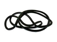 Ford 2C2Z-1520530-AA Weatherstrip, Front Outer Passenger Side