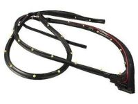 Ford FL3Z-1625324-A Door Weatherstrip, Rear Outer Passenger Side