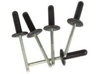 Ford -W709095-S300 Center Reinforcement Rivet, Rear Ford -W709095-S300 Center Reinforcement Rivet, Rear