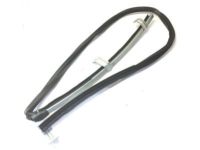 Ford 8C3Z-2521596-A Run - Door Glass, Passenger Side