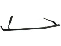 Ford F1EZ-5821597-A Run Channel, Front Driver Side Ford F1EZ-5821597-A Run Channel, Front Driver Side