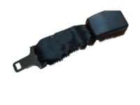 Ford 6C3Z-16611C22-AA Extension, Front Ford 6C3Z-16611C22-AA Extension, Front