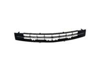 Ford 7H6Z-8200-B Lower Grille, Front Ford 7H6Z-8200-B Lower Grille, Front