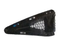 Ford JR3Z-17E810-AA Outer Grille, Front Passenger Side Ford JR3Z-17E810-AA Outer Grille, Front Passenger Side