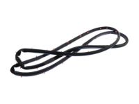 Ford DS7Z-5420531-C Door Weatherstrip, Front Outer Driver Side