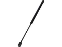 Ford 4L3Z-16C826-AA Lift Cylinder Ford 4L3Z-16C826-AA Lift Cylinder