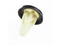 Ford -W716338-S300 End Cap Nut, Rear