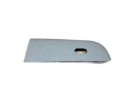Ford 4L1Z-14527-AAB Switch Bezel, Rear Passenger Side